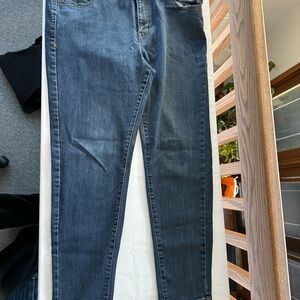 Lane Bryant Jeggings